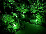 LÂMPADA LED TASCHIBRA PAR 38 15W VERDE E27