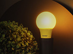 LAMPADA LED TKL COLORS