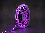 FITA LED MAGIC CONTROL 6W 60LEDS/M 5M IP20 RGBIC 12V