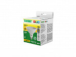 LAMPADA LED PAR 38 14W 36° 2700K DIM IP65