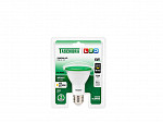 LÂMPADA LED TASCHIBRA PAR 20 6W VERDE E27