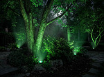 LÂMPADA LED TASCHIBRA PAR 30 11W VERDE E27