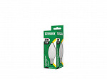 LÂMPADA TASCHIBRA INCANDESCENTE VELA LISA 25W LEITOSA E14