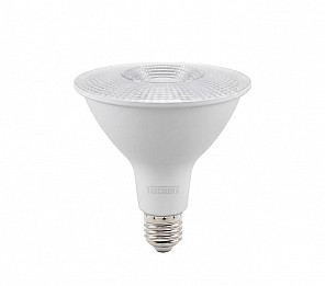 LÂMPADA LED TASCHIBRA PAR 38 9,9W E27