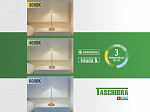 LUMINÁRIA DE MESA LED TASCHIBRA INDY RECARREGÁVEL