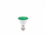 LÂMPADA LED TASCHIBRA PAR 20 6W VERDE E27
