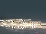FITA LED TECHFREE 12W 120LEDS/M 50M IP20