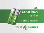 PILHA ALCALINA AA TASCHIBRA BLISTER DESTACÁVEL 2