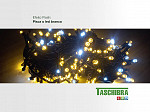 CORDÃO LUMINOSO TASCHIBRA 100 LED ESTÁTICO COM LED FLASH ISOL VD 3000K